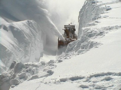 Réunion du Peuple De La Paix le 31 octobre 2014 Tempe%CC%82tes-de-neige-Que%CC%81bec