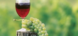 Le vin rouge