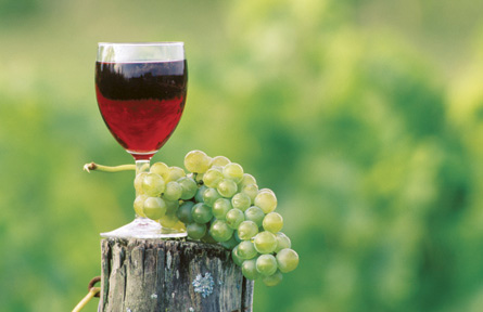 Le vin rouge