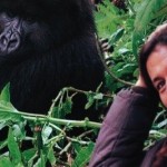 Dian Fossey la femme qui aimait les singes