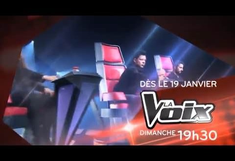 La Voix 2014 saison 2 : Les quatre mentors feront bientôt leur entrée