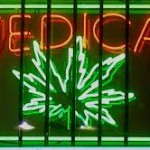 La litiére masquerait l’odeur de la Marijuana médicale