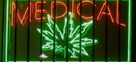 La litiére masquerait l’odeur de la Marijuana médicale