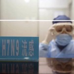 Les autorités sanitaires restent en alerte concernant le virus H7N9
