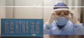 Les autorités sanitaires restent en alerte concernant le virus H7N9