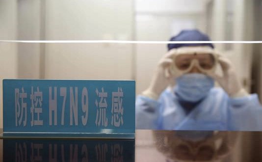 Les autorités sanitaires restent en alerte concernant le virus H7N9