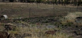 Mont Wycheproof : la plus petite montagne du monde