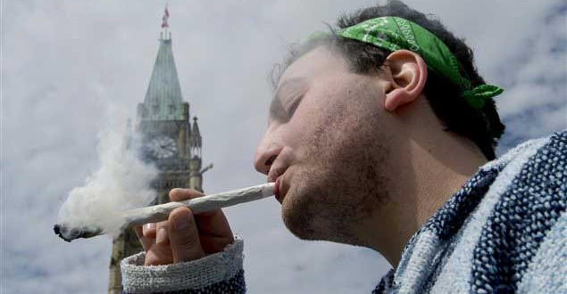 Canada : Manifestation pour la légalisation du cannabis
