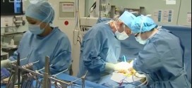 Dons d'organes : Les adolescents ciblés par une démarche via les réseaux sociaux