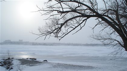 Environnement et changement climatique : Le PQ, le PLQ et la CAQ en dessous de la moyenne