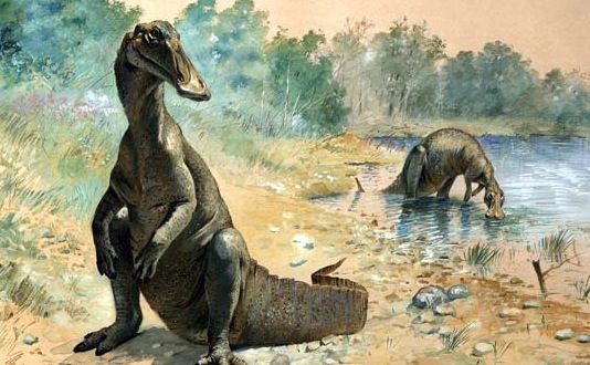 Fossile de dinosaure