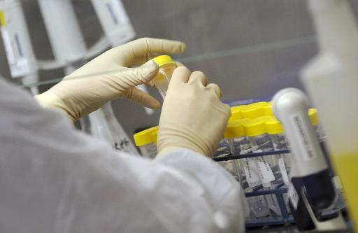 Les chercheurs masculins et les incidences sur les souris de laboratoire Les chercheurs masculins et les incidences sur les souris de laboratoire