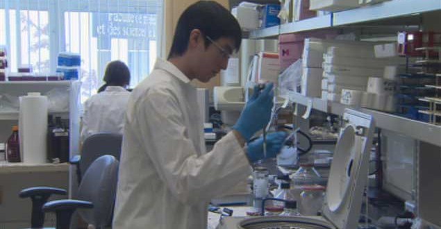 Prix du public Québec Science : Des chercheurs de l'Université de Sherbrooke et du CHUS récompensés pour leurs travaux