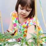 Une petite fille de 8 ans a vu ses crises d'épilepsie disparaître grâce à la marijuana