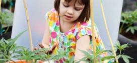 Une petite fille de 8 ans a vu ses crises d'épilepsie disparaître grâce à la marijuana