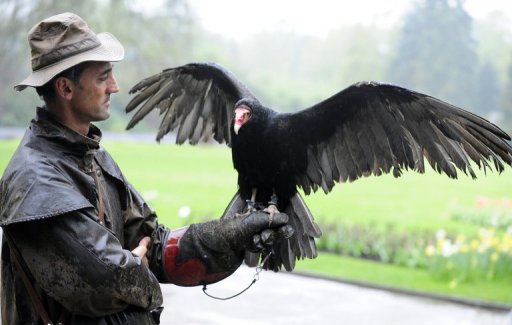 La police allemande et les vautours détectives