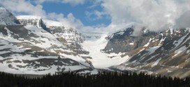 Le glacier Athabasca fond d'une façon substantielle : Plus de 5 mètres annuellement