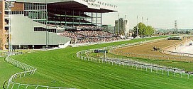 Hippodrome de Woodbine : Un jockey trouve la mort écrasé par son cheval de course