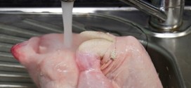 Laver du poulet cru augmente les risques des infections