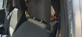 Bébé de 7 mois laissé seul dans une voiture La mère écope d'une amende de 60 dollars