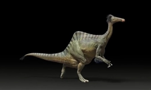 Deinocheirus mirificus : Le mystérieux dinosaure de Mongolie prend forme après un demi-siècle