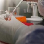 Un vaccin expérimental Canadien contre le virus Ebola envoyé à l'OMS