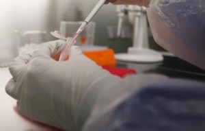 Un vaccin expérimental Canadien contre le virus Ebola envoyé à l'OMS