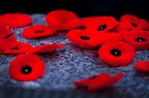 La vente des coquelicots cette année a largement dépassé les chiffres enregistrés l'an dernier