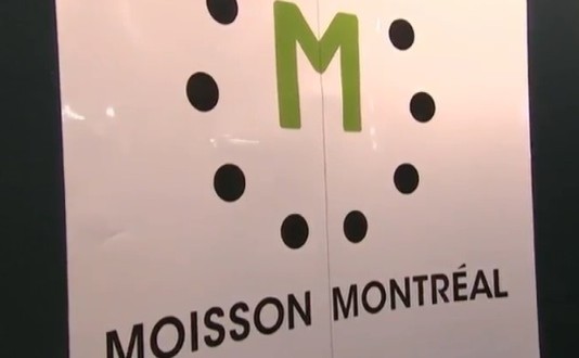 Moisson Montréal : Près de 300 bénévoles pour préparer 11 300 sacs d'urgence
