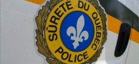 Un homme d'une quarantaine d'années interpellé pour avoir effectué des appels à la bombe