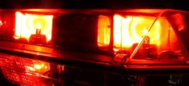 Un chien sauve toute sa famille d'un incendie à Mount Williams