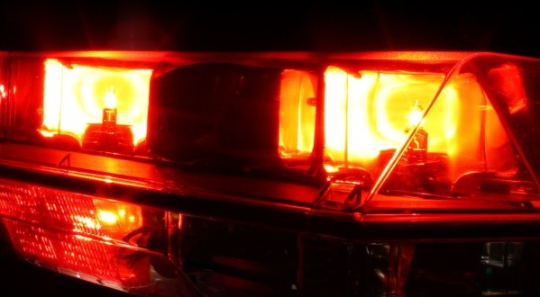Un chien sauve toute sa famille d'un incendie à Mount Williams
