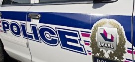 Combats de chiens à Laval : La police demande l'aide des citoyens