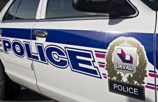 Combats de chiens à Laval : La police demande l'aide des citoyens