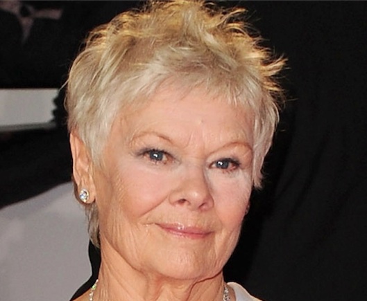 Judi Dench : Son premier tattoo à 81 ans 1 Judi Dench : Son premier tattoo à 81 ans