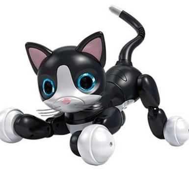 Les jouets intelligents ne sont pas sans risques 1 Les jouets intelligents ne sont pas sans risques
