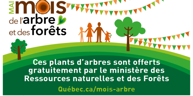 Québec lance le Mois de l’arbre 2026 avec une mobilisation massive autour du bois