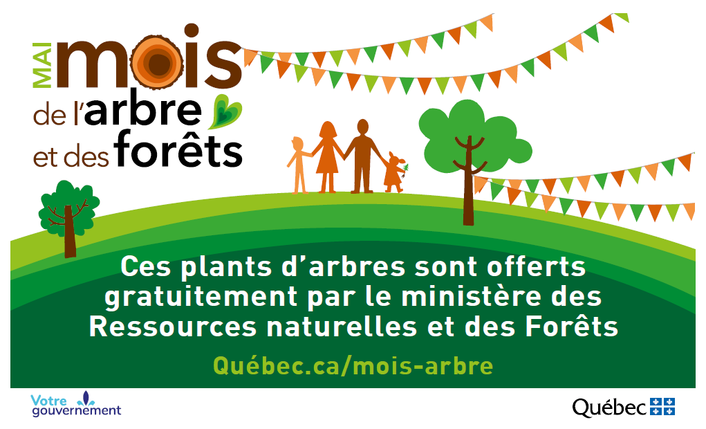 Québec lance le Mois de l’arbre 2026 avec une mobilisation massive autour du bois 1 Québec lance le Mois de l’arbre 2026 avec une mobilisation massive autour du bois