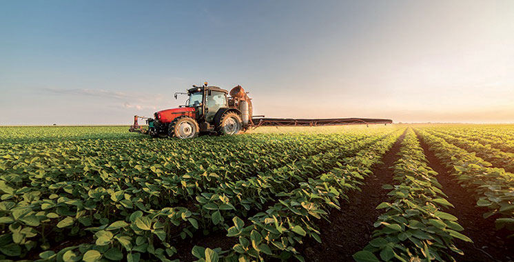 Agri Trade Maroc investit plus de 80 MDH dans une nouvelle usine à Kénitra