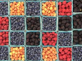 Le Maroc accélère sur le marché des fruits rouges en Norvège