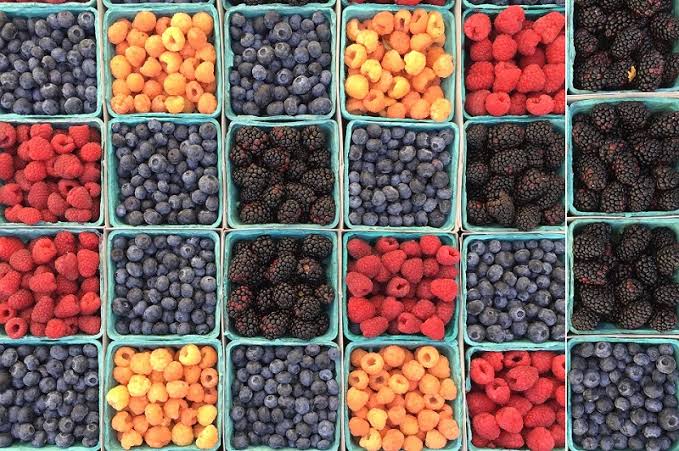 Le Maroc accélère sur le marché des fruits rouges en Norvège Le Maroc accélère sur le marché des fruits rouges en Norvège