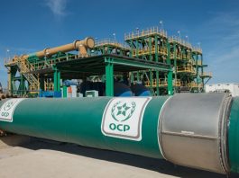 OCP Nutricrops : le Bangladesh valide 140 000 tonnes d’engrais marocains OCP Nutricrops : le Bangladesh valide 140 000 tonnes d’engrais marocains