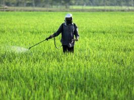 OCP veut produire au plus près des agriculteurs américains OCP veut produire au plus près des agriculteurs américains
