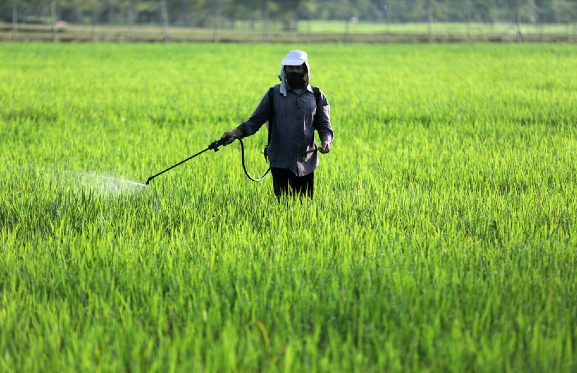 OCP veut produire au plus près des agriculteurs américains OCP veut produire au plus près des agriculteurs américains