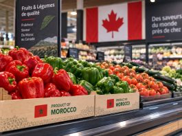 Produits marocains : une nouvelle fenêtre s’ouvre au Canada